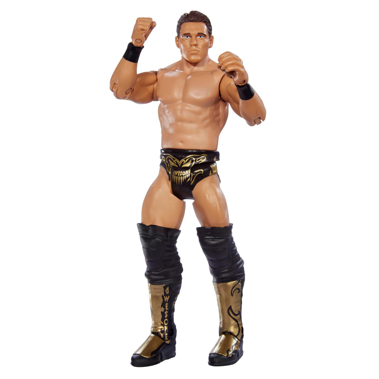 WWE BASIC FIGURES INTL