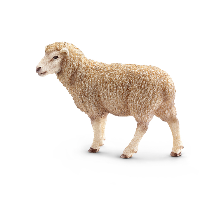 SHEEP