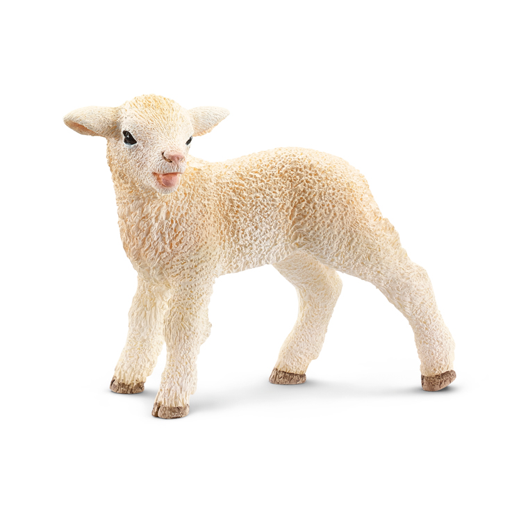 LAMB