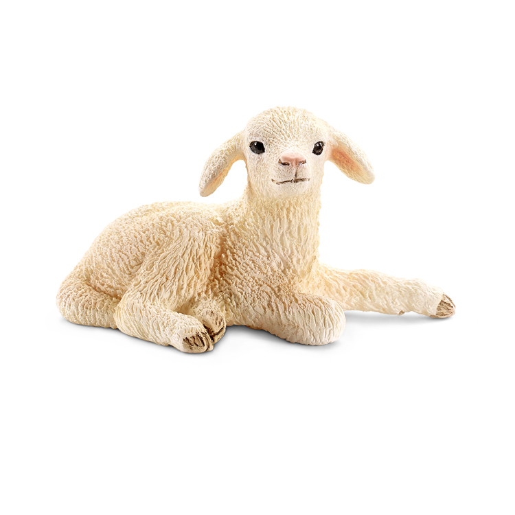 LAMB, LYING