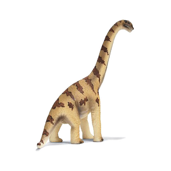 BRACHIOSAURUS DISC