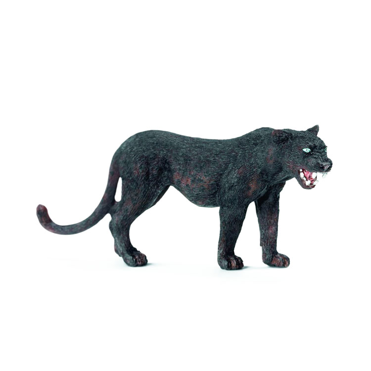 Black panther
