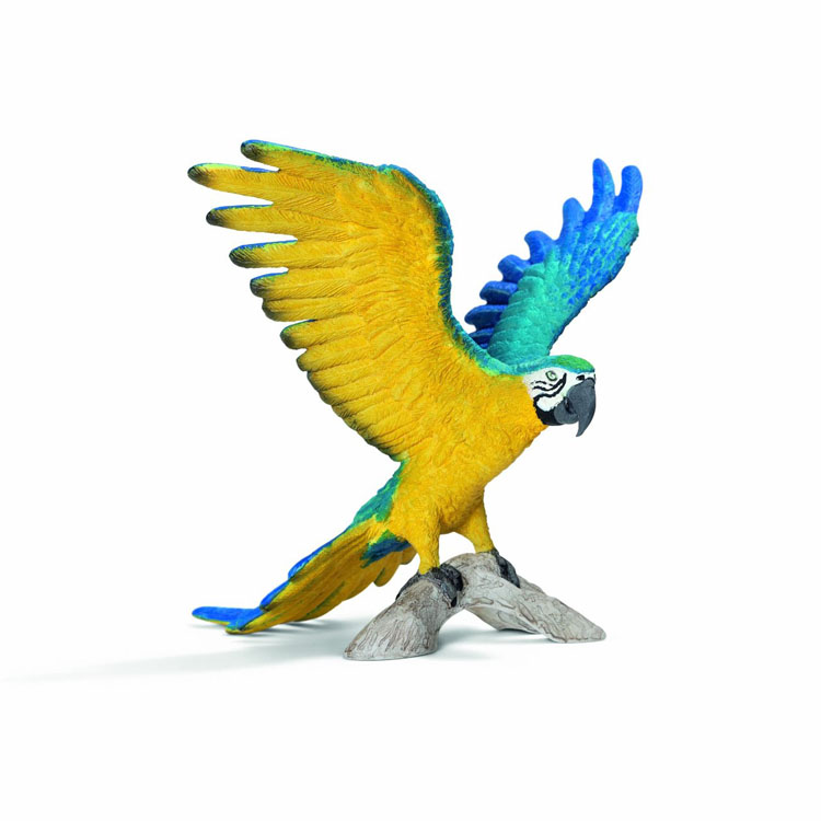 Blue-and-yellow Macaw