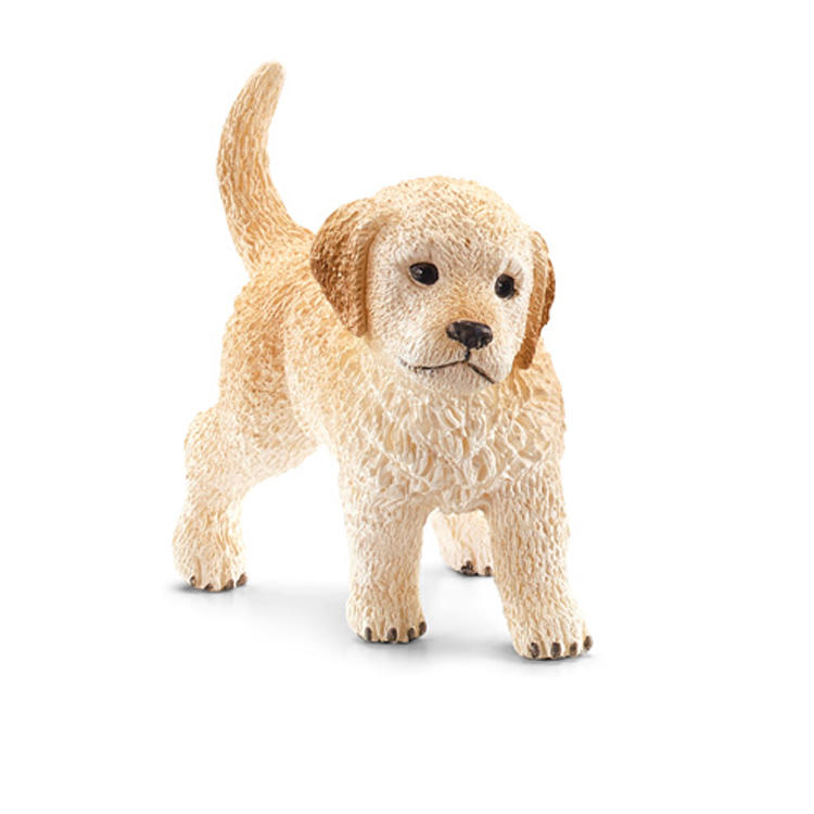 GOLDEN RETRIEVER, PUPPY