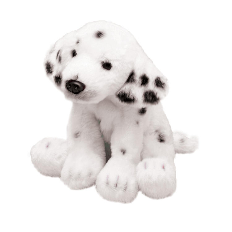 Dalmatian sitting