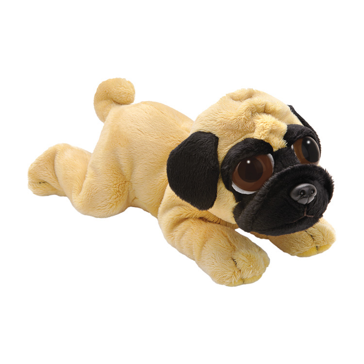Lil P.Pug MD