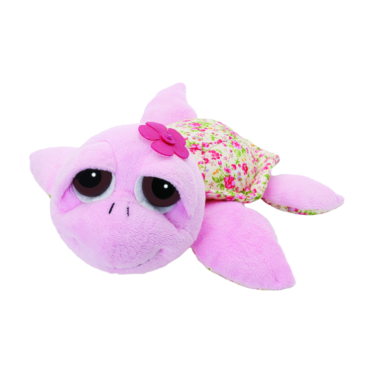 Lil P. Flora Turtle MD
