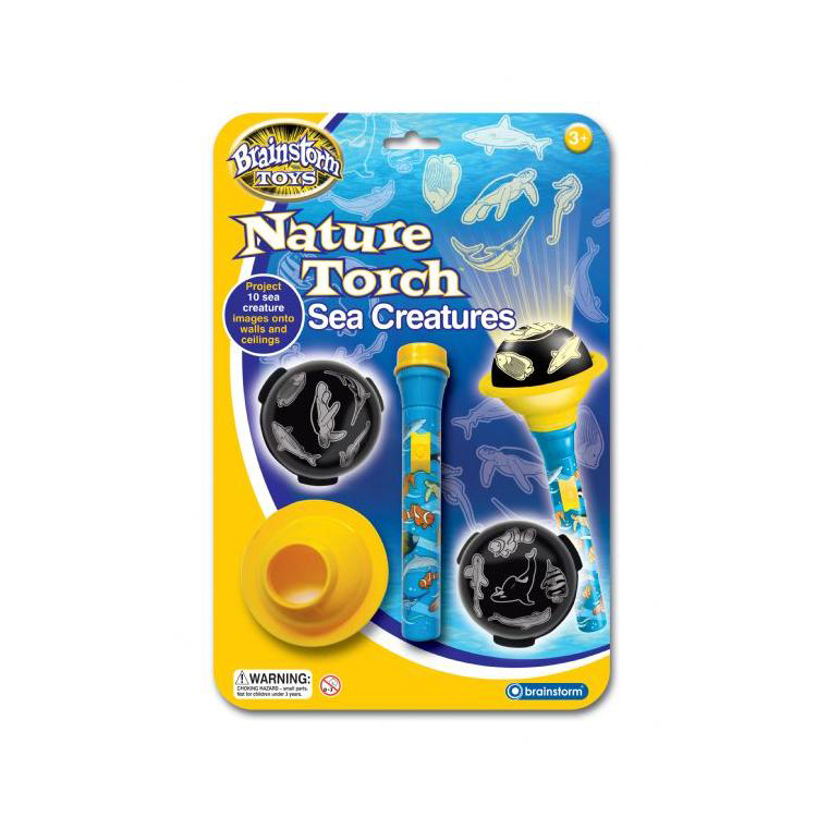 BRAINSTORM NATURE TORCH SEA CREATURES