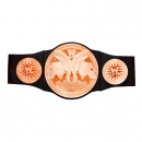 WWE BASIC BELT ASSORTMENT