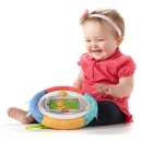 FISHER PRICE GO WITH ME APOLLY POCKETTIVITY