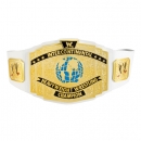 WWE BASIC BELT ASSORTMENT