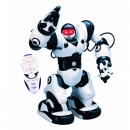 ROBOSAPIEN