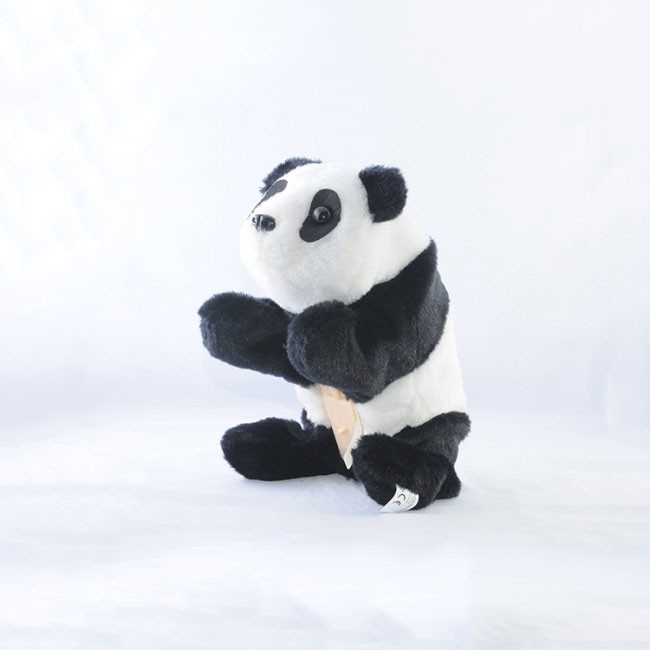 Baby Panda
